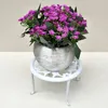 Planters Pots Metal Flower Stand High Quality Steel Sturdy Hållbar för vardagsrum Balkong inomhus Desk Canq889