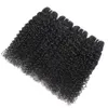 ブラジルの髪織りバンドル契約ブラジルの変態カーリー人間の髪の毛延長100％未処理のブラジルのアフロ変態巻き毛バンドル