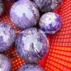 Naturalne rzadki rosyjski Charoite Kwarcowy Kryształ Kula Kula Decor 60-90mm Lecznicze Bogate Purpurowe Gemstone Ball ~ Kamień transformacji, mądrość, harmonia czakra