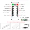 LED USB Power Remote Control Curtain Lights Fairy Year kerst trouwhuis raam feest decor y201020