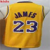 2021 Top Quality Men Youth kids Basketball Dwyane 3 Wade 32 Johnson Jerseys Purple Yellow White Black Stitched Wholesale