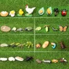 Simulation Animals Ladybug,Butterfly,Frogs,Turtle,Ant,Mosquito,Chicken Growth Life Cycle Figurines Model Action Figures Toy C0220