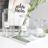 Nordic Design Glass European Home Arrangement Hydroponic Tabletop Vase For Flower Decoration 210310