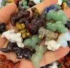 Partihandel Party Favor Animal Dinosaur Collectible Stone Carving Art figur Natural Amethyst Pocket Healing Crystals Gemstones KD1