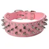 Dog Collars Riemen Cool Spiked Klinknagel bezaaid PU-lederen Petrang voor kleine Medium Honden Katten Puppies 6 Kleuren Mode Puppy Collar