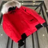 Canda Goose Down Veste Hommes Bomber Veste Véritable Fourrure De Loup À Capuchon Toile Parkas Lettre Patch Poches À Glissière Chaud Épais Outwear Designer Femmes 257