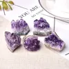 DHL Natural Amethyst Crystal Cluster Quarz Rohkristalle Heilungsstein Dekoration Orament Lila Feng Shui Steinerz Mineral von Hope12