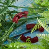 Andere tuinbenodigdheden 30 stcs 90 graden plantenbuiger herbruikbare buigclips groeirieur Twig klem lage stress training controle FI4956143