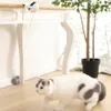 Interactieve kat speelgoed slimme automatische elektrische bounce pluche bal yoyo vissen elektronische katten honden speelgoed