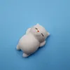 Squishy Toy Cute Animal Antystress Piłka Squeeze Mochi Rising Zabawki Abreact Soft Sticki Squishi Stress Zabawki Zabawny prezent 0052