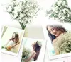 Gypsophila silk baby breath Artificial Fake Silk Flowers Plant Home Wedding Party Home Decoration Cheap 8503336