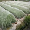 Andere Tuinbenodigdheden 40/60/80 Mesh Greenhouse Anti-Pest Netting Fruit Bomen Groente Bloem Planten Controle Pestbescherming Cover Nylon Net