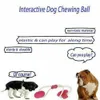 Jouet de balle en caoutchouc auto-goûter avec des jouets molaires interactifs molaires interactifs pour chien jeu chiot trb jouet y2003237s
