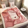 Blankets Velvet Fabric Thick Blanket Throw And Cushion Pillow Double Use Winter Coral Pile Alpaca For Living Room Sofa Car