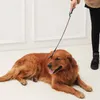 Flirt Pole Rimorchiatore Interattivo Giocattolo con Impugnatura Antiscivolo Addestramento per Animali Domestici Bacchetta Teaser per Cani di Grossa Taglia Equitazione Colture Pipistrello Salta Equitazione Fruste