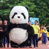 Maskottchen-Kostüme, aufblasbares Panda-Maskottchen für Werbung, 3 m hoch, individuell anpassbar für Erwachsene, Tier-Cartoon-Maskottchen-Kostüme, Panda-Maskottchen für Erwachsene, Kost