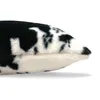 Leuke koe patroon kussenhoes zwart wit fluwelen kussensloop mooie dier patroon kunst auto sofa home decor kussen kussensloop 583 v2