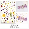 Adesivi Decalcomanie Nail Art Foglie verdi Retro Fiori secchi Ciliegia estiva Avocado Cactus Strumenti per manicure Decorativo Prud22