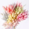 30PCS Natürliche Rosa Bunny Tails Gras Getrocknete Kaninchen Gras Blumen Blumenstrauß Für Innen Dekoration Zubehör Fotografie Requisiten