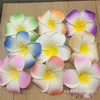 100pcs 7cm Plumeria en mousse hawaïenne fleur frangipani pour la fête de la fête de mariage fleur jlloim Lucky 680 S28287479