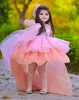 2021 핑크 레이스 꽃 소녀 드레스 공 가운 깎아 지른 목 레이스 파란색 하이 - 로마 Lilttle 키즈 생일 미인 웨딩 드레스