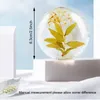 Klar aminosyran Flower Soap Essential Oils Handgjorda naturliga transparenta fuktgivande tvätthand ansikts kroppens badrensare tvål HY0270