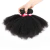 capelli vergini brasiliani afro crespi ricci non trasformati estensioni dei capelli umani ricci afro crespi brasiliani