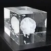 3D Modello anatomico umano Fermacarte Inciso al laser Cervello Cristallo Cubo di vetro Anatomia Mente Neurologia Pensiero Scienza Regalo 211105