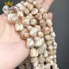 Other Natural Trochus Shell Irregular Beads For Women's Jewelry Making DIY Bracelet Ear Studs Necklace Accessories 15'' Strands 7-16mm