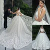 Robe de mariée en dentelle de luxe avec appliques, robe de mariée vintage avec licou, plus la taille, dos ouvert, robe de mariée