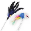 Jouets multicolores pour chats, bâton pour animaux de compagnie de couleur aléatoire, plume, poteau de couleur noire comme des oiseaux avec petite cloche 6761917