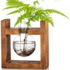Vasos moda vaso hidropônico borossilicato bulbo de vidro transparente jardim água plantando estações de propagação decoração de casa presente