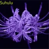 100 шт. Семена семян Lycoris садовый цветок