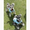 Cute Pets Vest T Shirt Wings Printed Pet Sweatshirts Dog Apparel Vacation Bulldog Teddy Dogs Clothes