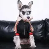Zwiedź czasowy litera psa pluszowa gruba zamek błyskawiczny płaszcz sweter jesienne zima na zewnątrz sport