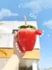 Strawberries Water Bottles Plastic Lovely Girl Milk Student Portable Water Cup Summer Bottle with Straw