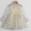 Filles Princesse Broderie Polka Dot Robe Pour Fête Printemps Manches Longues Robes Pour Enfants Enfants Casual Tulle Tissus Robe Q0716