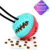 PET MOLAR BEHOND HOND TOYS Multifunctionele Rubberen Huisdieren Chew Ball Puppy Zuignap Trekbal voor Honden Tanden schoonmaken