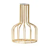 Iron Nordic Art Golden Hydroponic Glass Vase Decoration vardagsrum matbord torrt blomma plantera grön tall3633256