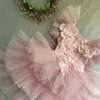 Toz Pembe Çocuklar Prenses Elbise Düğün Çiçekler Için Kız Butik Giysi Katmanlı 12 Ay Bebek Kız 210529