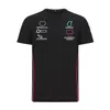 2021 Drużyna F1 Racing Suit T-shirt koszulka Polo Polo Męskie Rakiety Racing Racing Suit Dostosuj ten sam styl230D