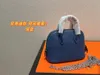 2022 Women Fashion Classic Premium Brand evening bag MINI shoulder bags handbag top quality simple and Mature size:12 *9