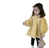 Filles velours épaissir robes décontractées enfants à capuche manches bouffantes sweat-shirt robe automne hiver enfants vêtements chauds Q25649980928