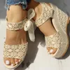 INS Lace Leisure Women Wedges Heeled Shoes Summer Sandals Party Platform High Heels Woman 210619