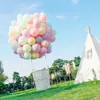 Party Decoration 50pcs 10inch/12 Inch Macarons White Pink Pastel Candy Latex Balloons For Wedding Baby Shower Decor Air Helium Globos