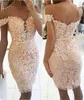 Kvinnor Formell Party Dress Summer Lace Kortärmad Sexig V Neck Bodycon Dresses Lady Elegant Shein Pencil Dress Vestido