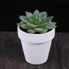 20pcs piccolo vaso da fiori bianco vaso per piante argilla ceramica ceramica fioriera cactus vasi da fiori succulenti vasi da vivaio con foro (bianco) 210615