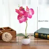 Decorative Flowers & Wreaths Small Round Basin Butterfly Orchid Bonsai Artificial Green Plant Potted Simulation Silk Flower For Home Living