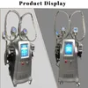 3 Cryo Heads Cryolipolysis Fat Freezing Machine Body Shaping Abdominal Weight Loss Non-Invasive No Recovery Salon Use