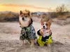 Dog Raincoat Camouflage Camo Dog Apparel Windbreaker Stylish Pet Rain Jacket Water Resistant with Reflective Stripes Hooded for Dogs Cat 209A